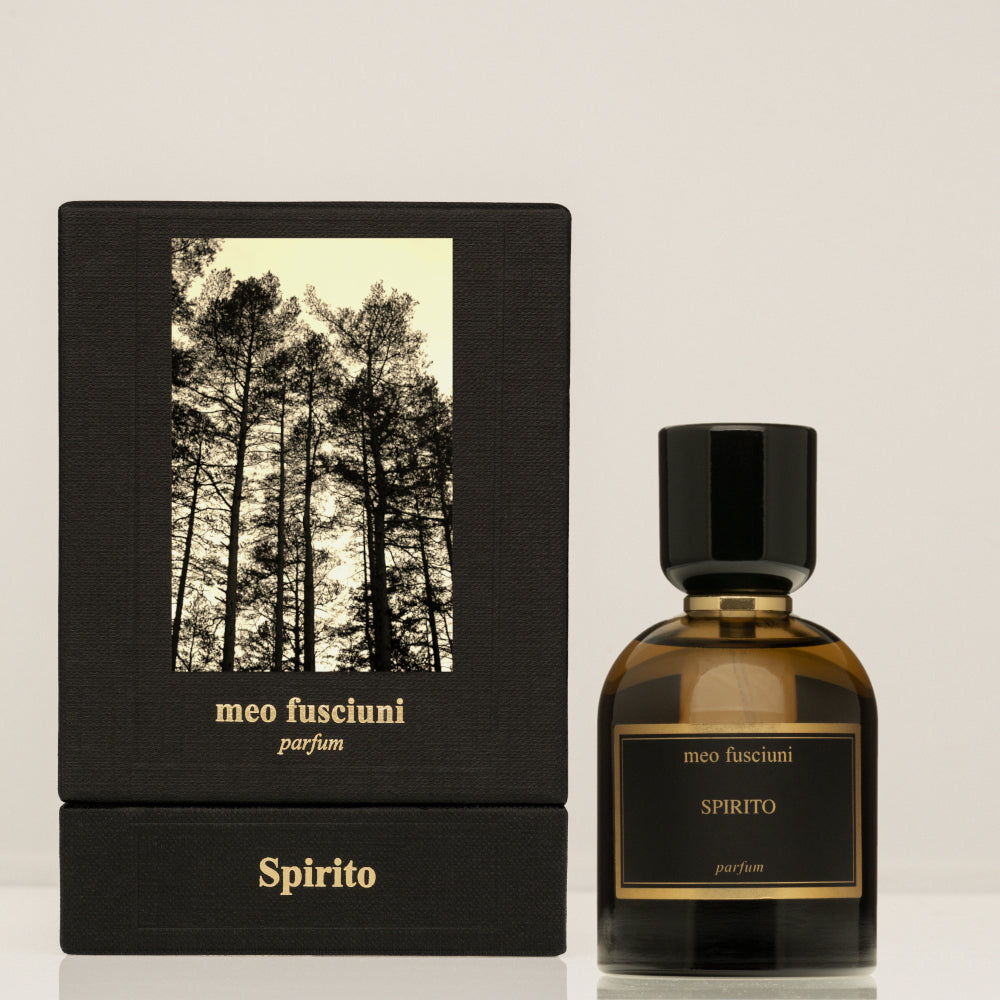 10.Spirito