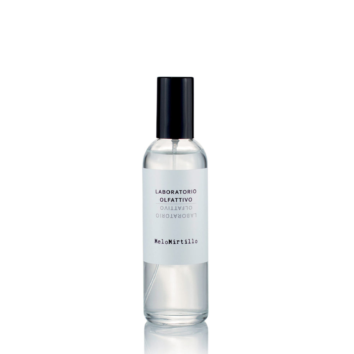 MELOMIRTILLO SPRAY 100ML