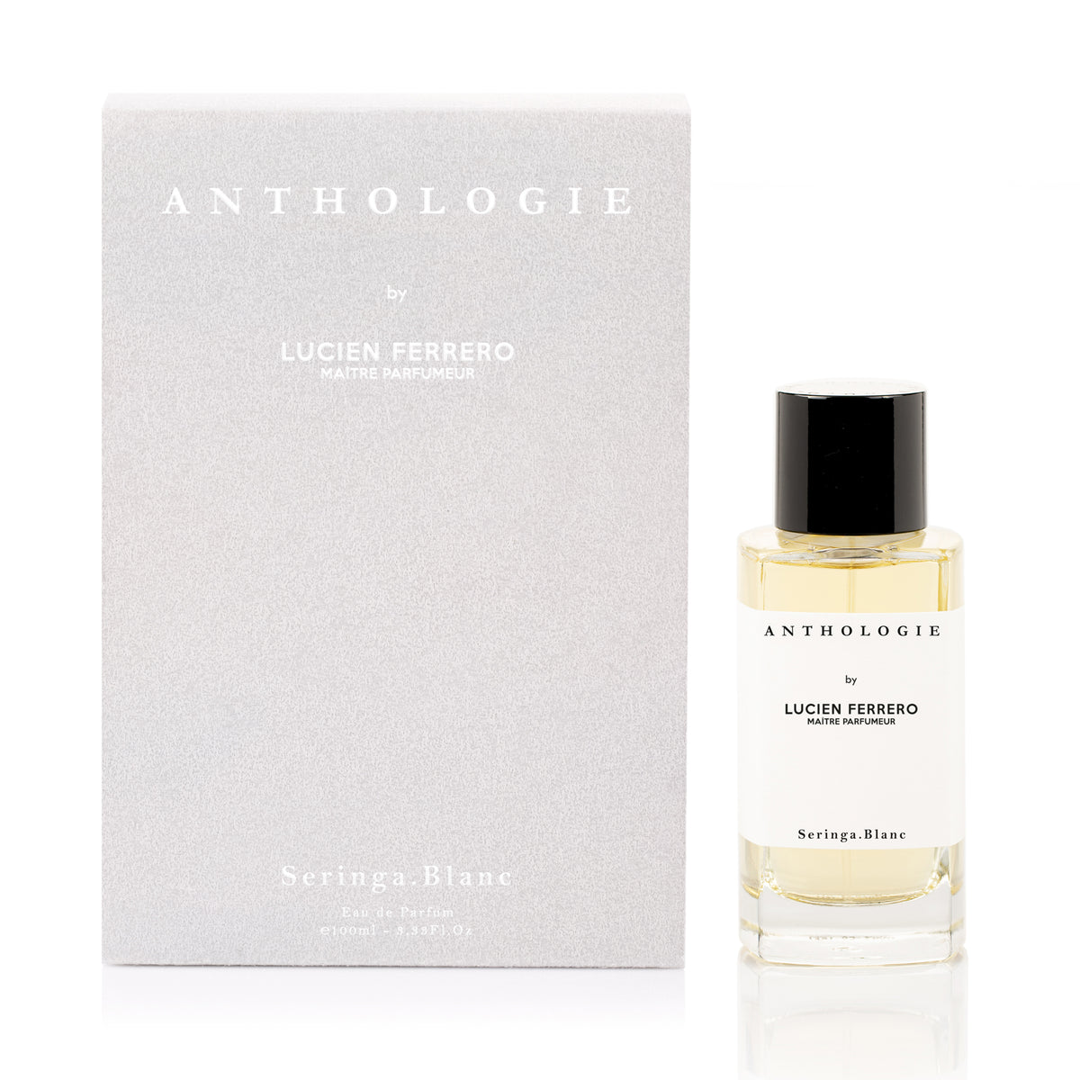 Seringa Blanc