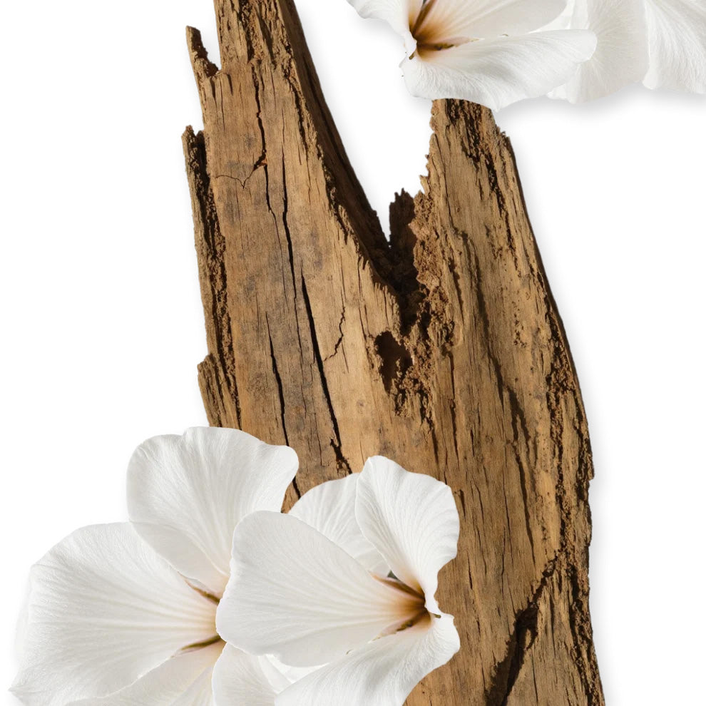 VALAYA-PERFUME-75-PACK4-1x1_2 copia