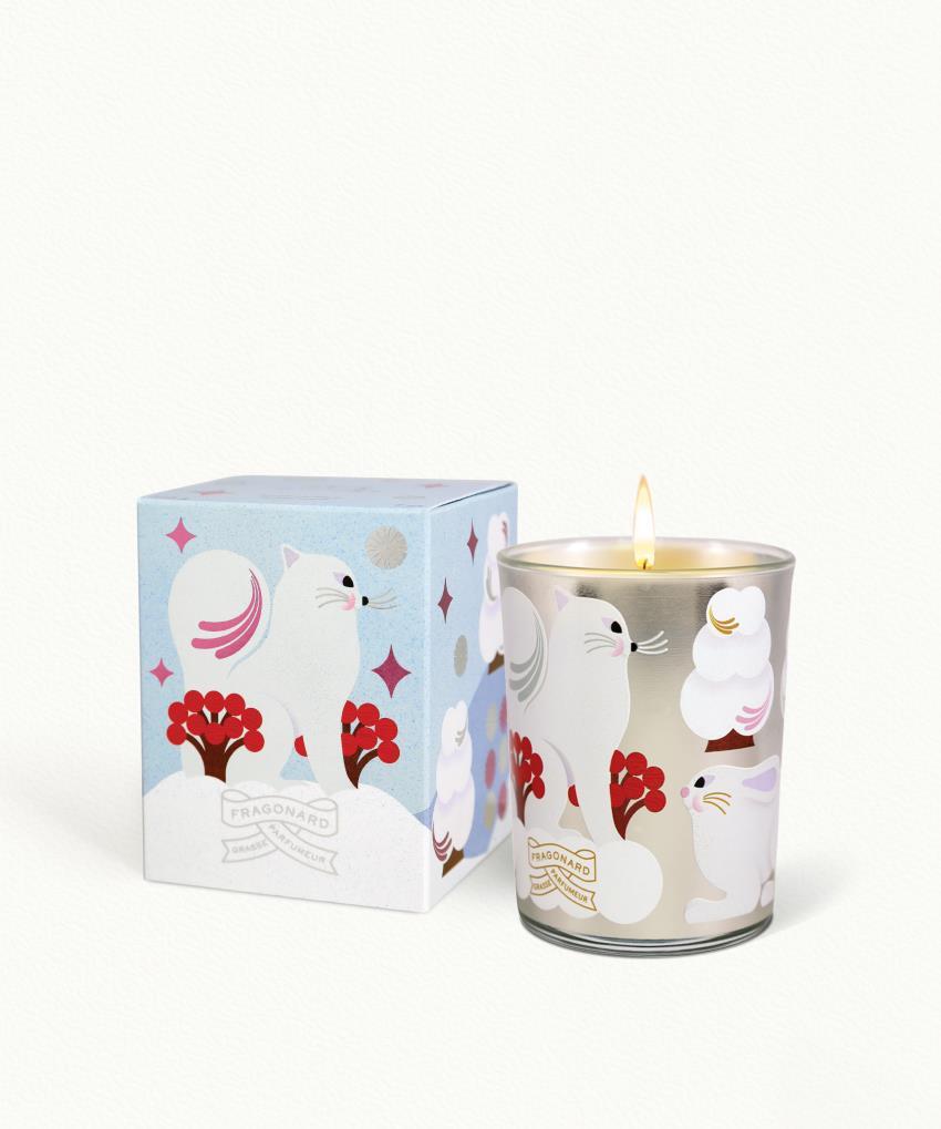 d_eija-vehvilainen-fragonard-bo252-reve-d-hiver-front-0